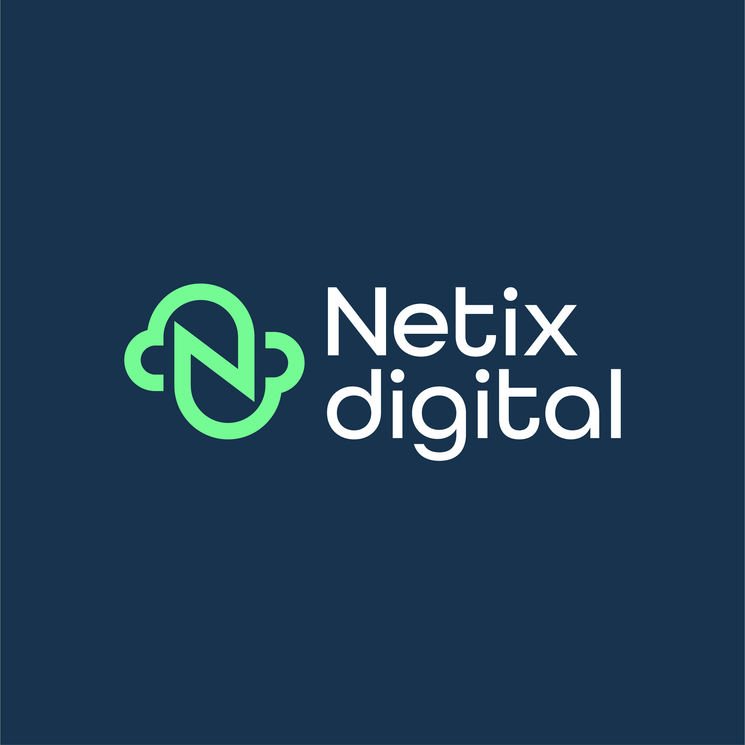 Netix Digital logo